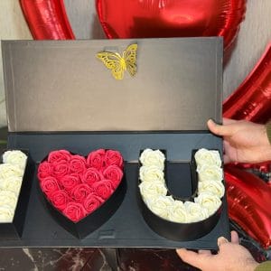 Aşkın Beyaz ve Kırmızı Kalp Kutusu I Love You
